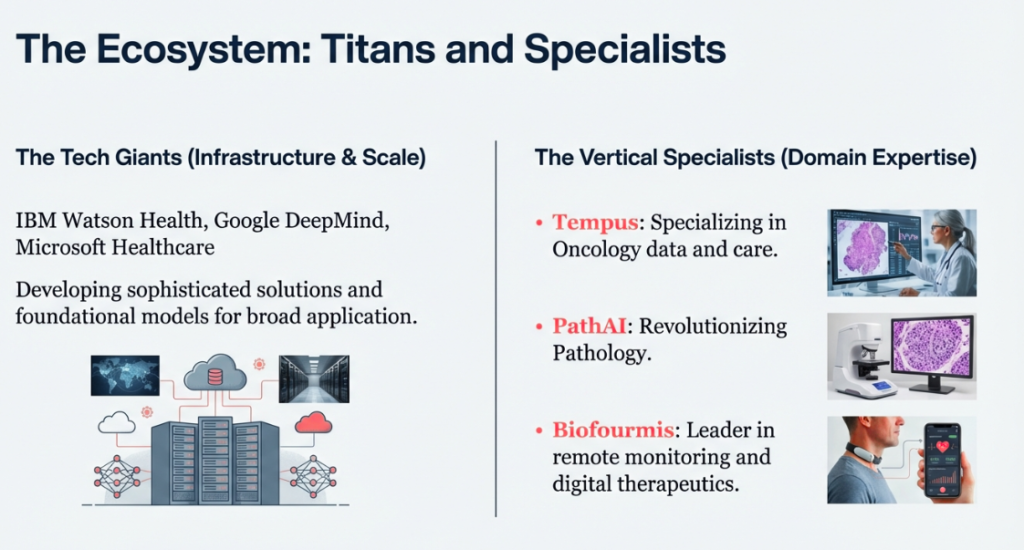 The Ecosystem: Titans and Specialsits