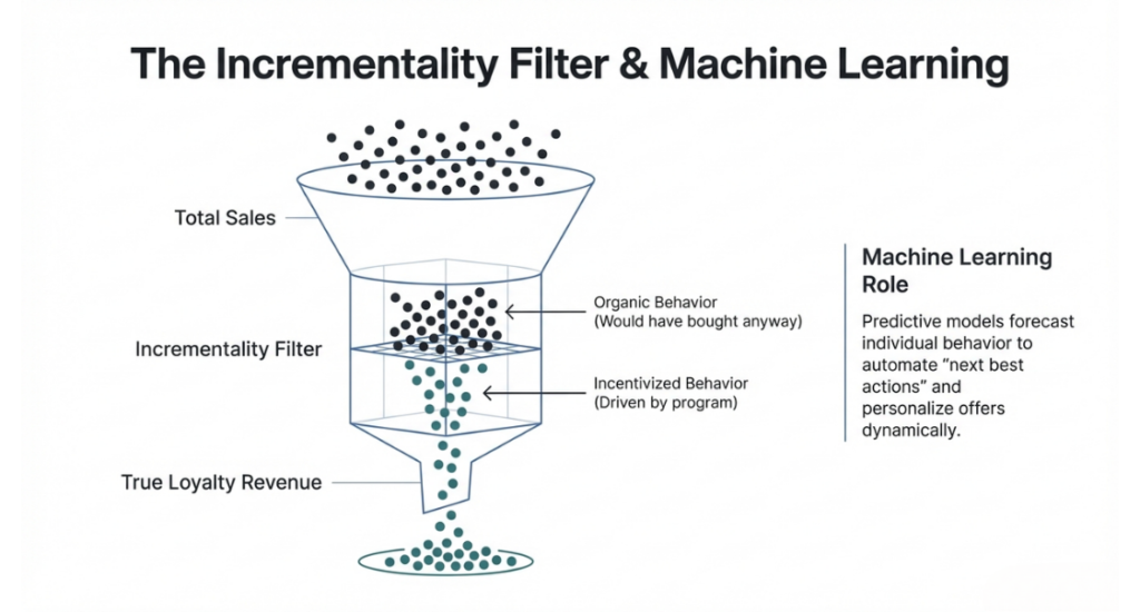 Machine Learning Role in Loyalty Analytics